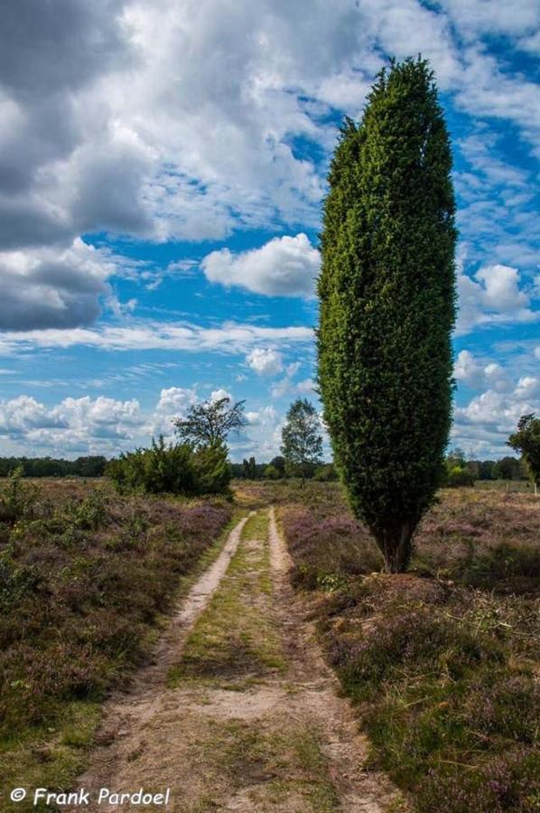Aa Casia Vakantiehuis Zeegse Esterno foto